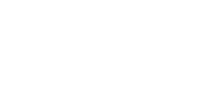 edelweisz design management